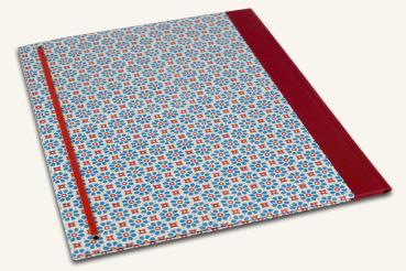 Für Schule und Beruf Sammelmappe blau rot